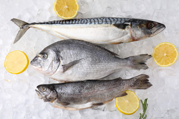 Fresh Fish